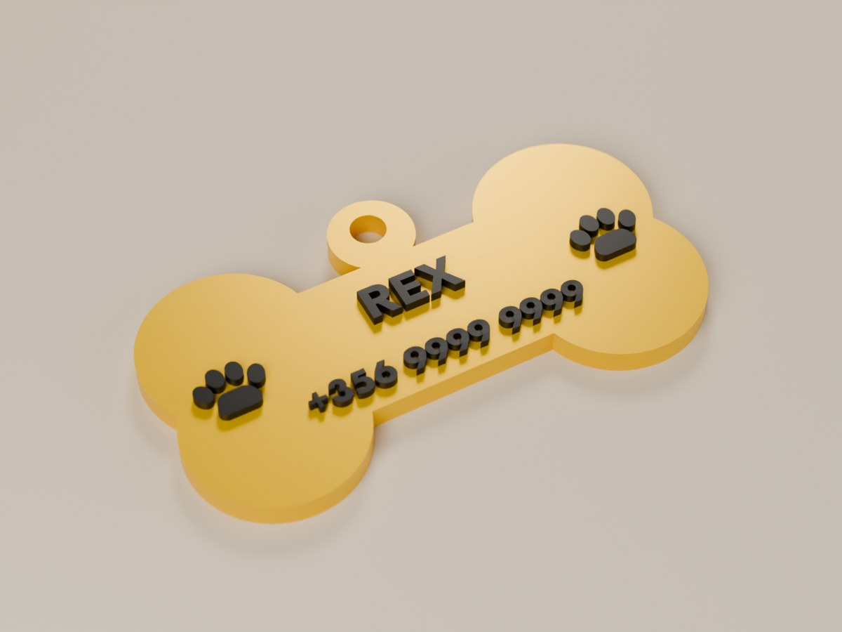 Pet Name Tag Keychain